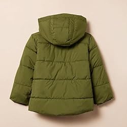 Amazon Essentials Toddler Boys' Heavyweight Hooded