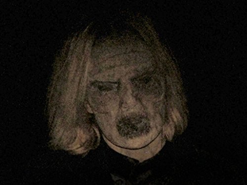 paranormal diaries