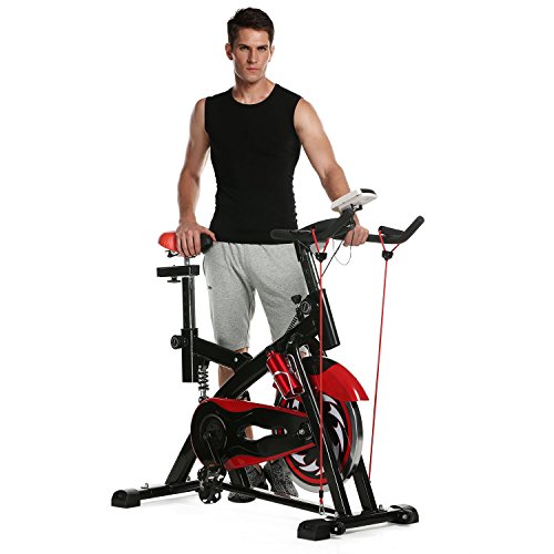 ancheer spin bike reviews