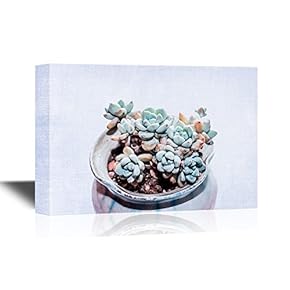 Bonsai Canvas Wall Art - Succulent Plant in a Pot - Gallery Wrap Modern Home Art | Ready to Hang - 12x18 inches