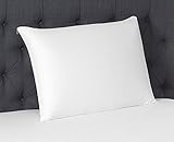 Beautyrest Latex Foam Pillow, King