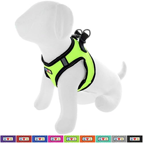 Pawtitas Pet Reflective Mesh Dog Harness, Step in or Vest Harness, Comfort Training Walking of Your Puppy/Dog M Medium Green Dog Harness