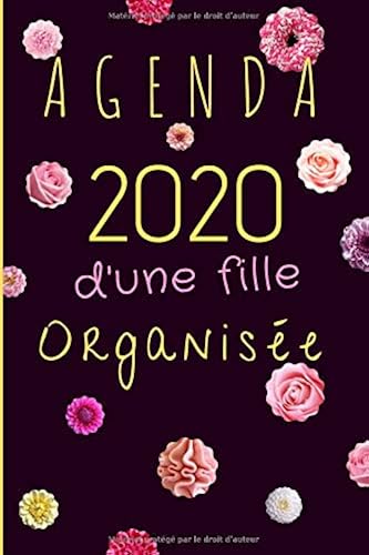 Download Agenda 2020 d'une fille organisée: agenda semainier & journalier | aperçu mensuel | prise de notes confortable | semaine en double page | création originale | format 15x23 cm - 140 pages PDF
