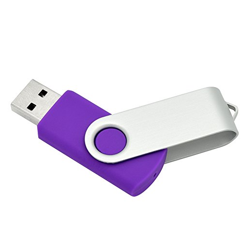 OVANUS 16GB USB 2.0 Flash Drives Metal Memory Stick Storage U Disk (Purple)