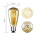 Edison LED Bulb, Amber 6W Vintage Edison LED Filament Light Bulb Edison lamp, 2800K Daylight (Warm White), 60W Incandescent Equivalent, E26 Base Lamp for Restaurant,Home,Reading Room,Office Pack of 1