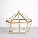 NCYP Small Geometric Vintage Glass Jewelry Box, Gold Succelent Plants Terrarium with Swing Lid, Pentagon Shape Clear Metal Brass Display Planter for Wedding Decoration (No Plants, Terrarium Only)