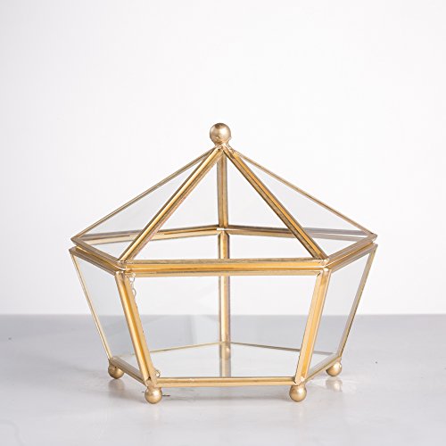 NCYP Vintage Decorative Jewelry Chest Geometric Terrarium Window Box Storage Display Case Pentagon Shape Clear Glass and Brass Tone Air Plant Planter Geo Metal Slanted Top Swing Lid