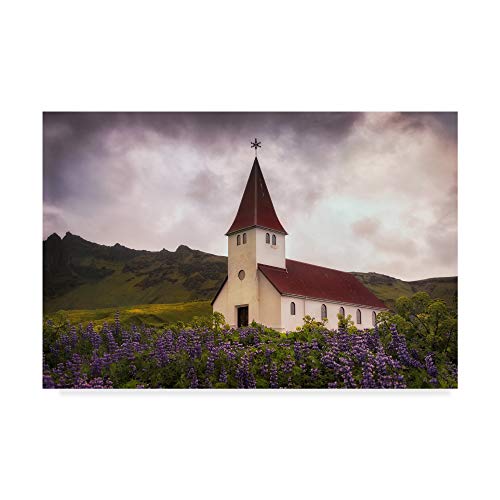 Trademark Fine Art White Church by Danny Head, 30x47