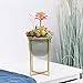 Cement Flower Pot with Stand - 6.3 Inch Tabletop Planter, Grey Herbs Orchids Cacti Succulents Pot Indoor with Gold Metal Stand