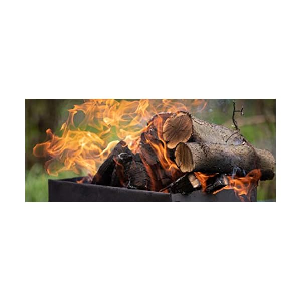 FlashPrix Leña Encina Seca Ecológica Cortada en Troncos Medianos para