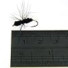 40pcs-Lot-Black-Ant-Single-Hook-Fly-Flies-Fishing-Trout-Salmon-Flies-Fly-Tackle-Set-Box-Fly-Fishing-Lure
