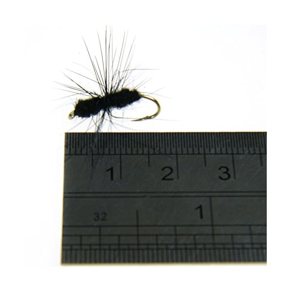 40pcs-Lot-Black-Ant-Single-Hook-Fly-Flies-Fishing-Trout-Salmon-Flies-Fly-Tackle-Set-Box-Fly-Fishing-Lure