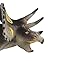 Safari Ltd Carnegie Scale Model Triceratops