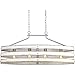 Progress Lighting Gulliver Collection 4-Light Coastal Linear Chandelier Light Galvanized, Gray