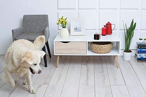 3 Petcube+Interactive+Monitor+Remotely+Compatible