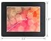 Micca 8-Inch Digital Photo Frame with High Resolution LCD and Auto On/Off Timer (M808z)