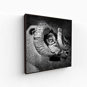 Canvas Wall Art for Living Room, Bedroom Portrait Framed Canvas Prints for Home Decoration Ready to Hang - 16x16 inches