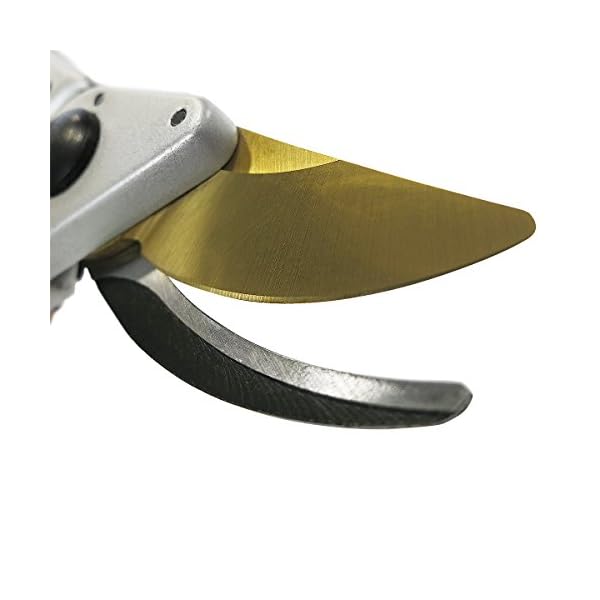 GRÃNTEK Premium Gartenschere Z-25, Geschmiedet, TITAN beschichtete SK5 PrÃ¤zisionsklinge, Baumschere Rebschere Ergonomisch 215 mm, Bypass Rosenschere Antihaftbeschichtet, Zufriedenheitsgarantie – Bild 3