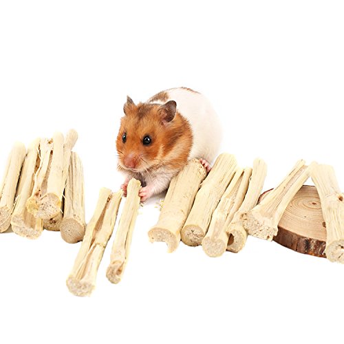Bwogue 300g Pet Snacks Sweet Bamboo Chew Toy for Squirrel Rabbits Guinea Pigs Chinchilla Hamster (About 10-14 Sticks)
