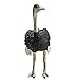 Schleich Ostrich Figurine Toy Figure