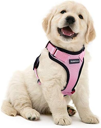 Rabbitgoo Harnais Chat Reflechissant Harnais Pour Petit