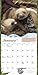 Sloths Wall Calendar 2017