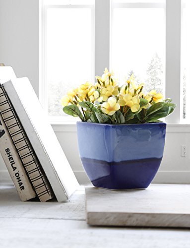 Store Indya Ceramic Planters Pots, Indoor & Outdoor Home Garden Planters & Container Accessories Flower Pots (Blue)