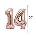 Sweet 14th Birthday Decorations Party Supplies,Rose Gold Number 14 Balloons,14th Foil Mylar Balloons Latex Balloon Decoration,Great 14th Birthday Gifts for Girls,Women,Men,Photo Props