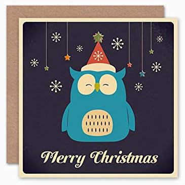 Wee Blue Coo Christmas Cards 6 Pack - Cute Owl Bird Snowflake Set Xmas Cards, 15 x 15 cm - Image 4