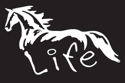 Horselife Rodeo Western Cowboy Cowgirl Vinyl Decal Sticker|WHITE|Cars Trucks Vans SUV Laptops Tool Box Wall Art|5.5