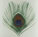 XTC Album: «Homespun: The Apple Venus Volume One Home Demos [Limited Edition]» (Front side)
