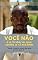 Livro Você não é a história que conta a si mesmo : “Você é muito mais do que pensa que é”