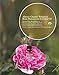 Alteya Organics Rose Essential Oil, Pure Certified Organic Bulgarian Rose Otto, 2.3mL Sample Size