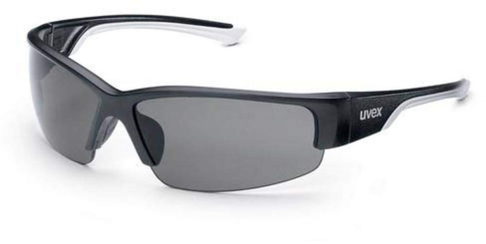 Uvex 9231960 Sicherheit Gläser, Polar Vision