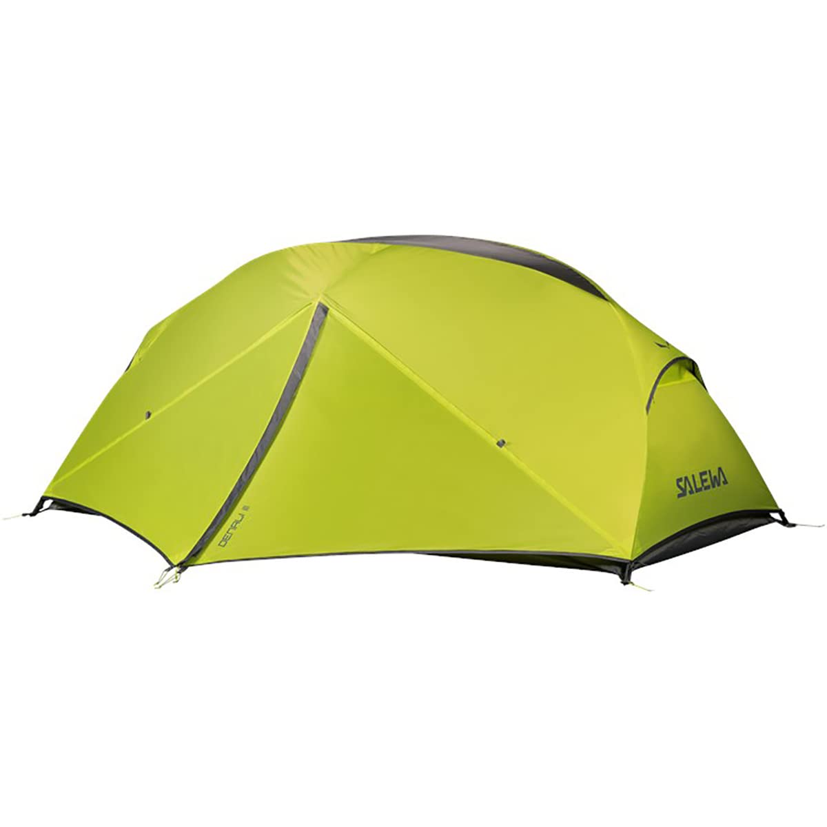 Salewa Denali Iii Tent, Cactus/Grey, Unisex