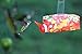 EZNectar Disposable Hummingbird Feeders with Nectar, 4 Pack 44 Fl Oz Total