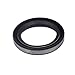 Briggs & Stratton 391086S Oil Seal Replaces 391086/290932/298423 primary