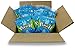 Sour Punch Straws, 4.5oz Bag (12 Pack), Blue Raspberry Fruit Flavored Soft & Chewy Candy