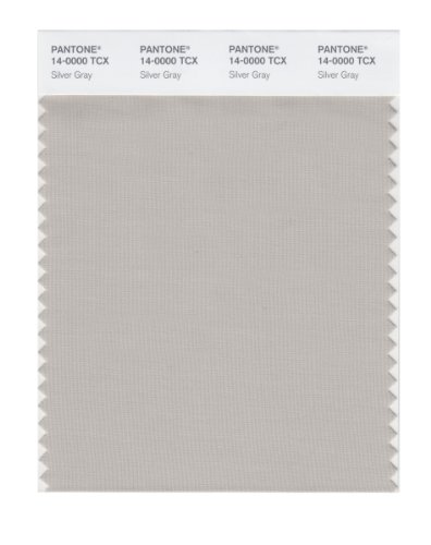 PANTONE SMART 14-0000X Color Swatch Card, Silver Gray