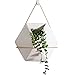 Purzest Wall Decor,Modern Hanging Planter Vase, Geometric Wall Decor Container - Great for Succulent Plants, Air Plant, Faux Plants,White Ceramic/Brass