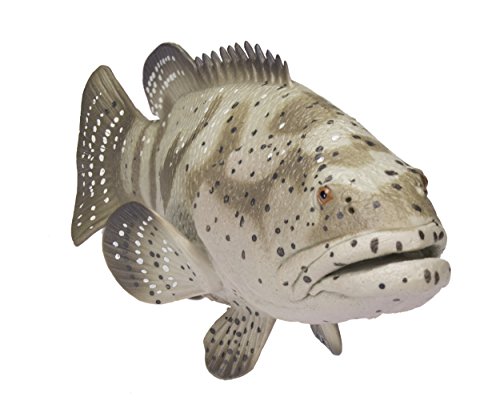 Safari Ltd. Goliath Grouper