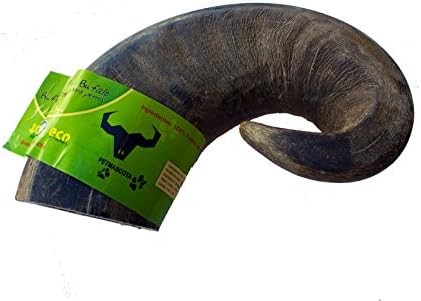 Buffalo horn dog chew - 100% natural (Large)