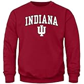 Barnesmith Spirit Logo, Adult Unisex, Crewneck Sweatshirt for College