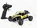 RC CAR (Yellow)