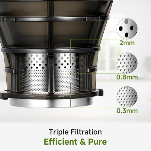 AMZCHEF Automatic Cold Press Juicer Machines 250W Liberate Your Hands -135MM Opening and 2L Capacity Slow Juicers for Whole Fruit and Vegetable