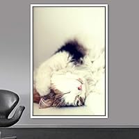 Framed Canvas Wall Art Cat Animals Cat Chic Multicolor Photography Urban - 16x24 inches