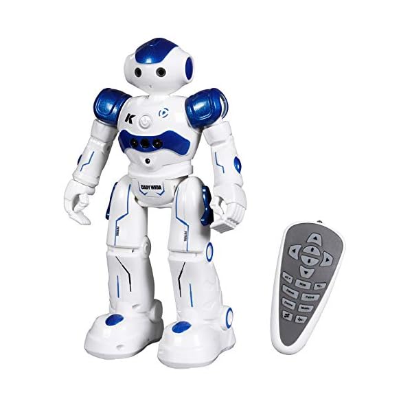 ANTAPRCIS Rc Robot Toys Gifts for Kids - RC Gesture Remote Control Robot Programmable with Infrared Controller and LED…