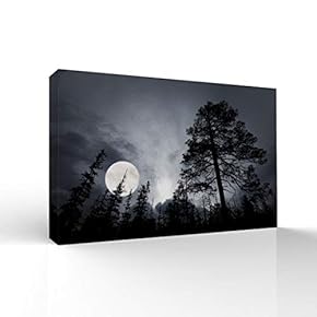 Canvas Wall Art-Moonlight in The Forest -Canvas Prints Home Artwork Decoration for Living Room,Bedroom - 12x18 inches