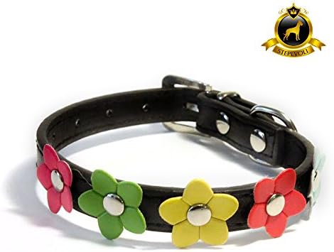Stepevoli Dog Collar with Petite Flowers - Comes in Black Colour and C2 Size