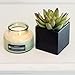 Small Faux Echeveria Succulent in Square Black Ceramic Planter - 4 x 5 Inches - Marmeda Decor Potted Artificial Plant in Black Matte Cube Vase - Global Modern Decor for Home or Office
